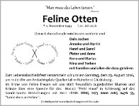 eine Anzeige